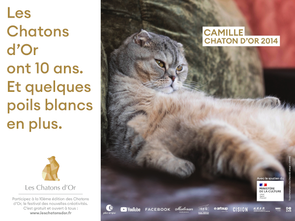 Les Chatons d’Or : découvrez les affiches lauréates de l’édition des 10 ans !