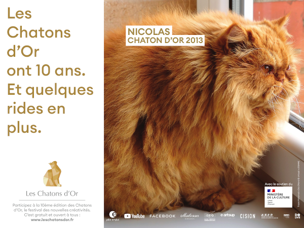 Les Chatons d’Or : découvrez les affiches lauréates de l’édition des 10 ans !