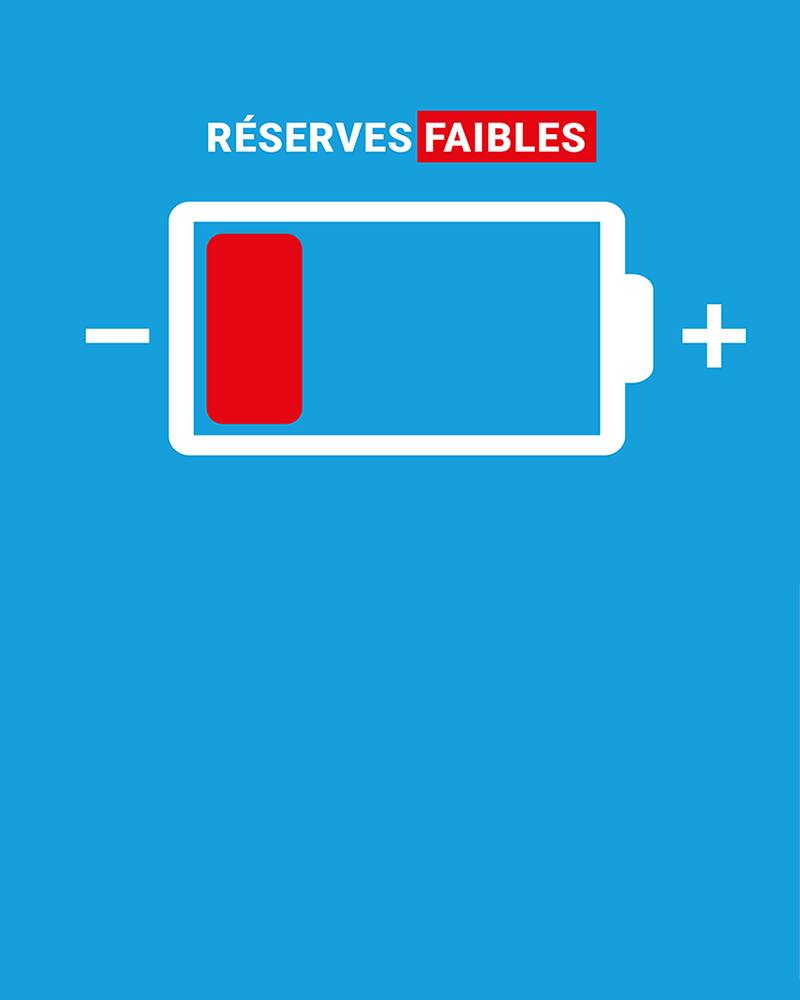 Chargeur de batterie avec réserves faibles