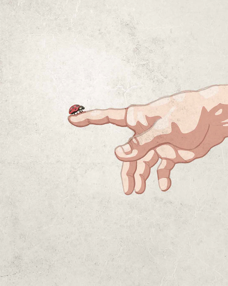 Illustration d’une main pointant vers la droite sur fond clair avec une coccinelle