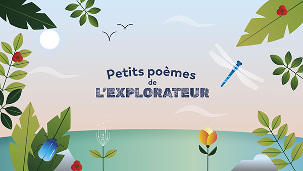 Le Motion Design pour (re)faire découvrir la poésie aux enfants / Petits poèmes de l'explorateur