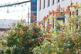 Vue extérieure du campus e-artsup Lyon entouré d’arbres et d’espaces verts