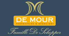 Logo de Demour, partenaire de l'école e-artsup