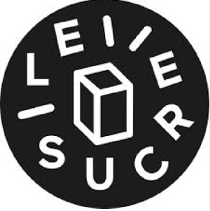Logo Lesucre, partenaire de l'école e-artsup