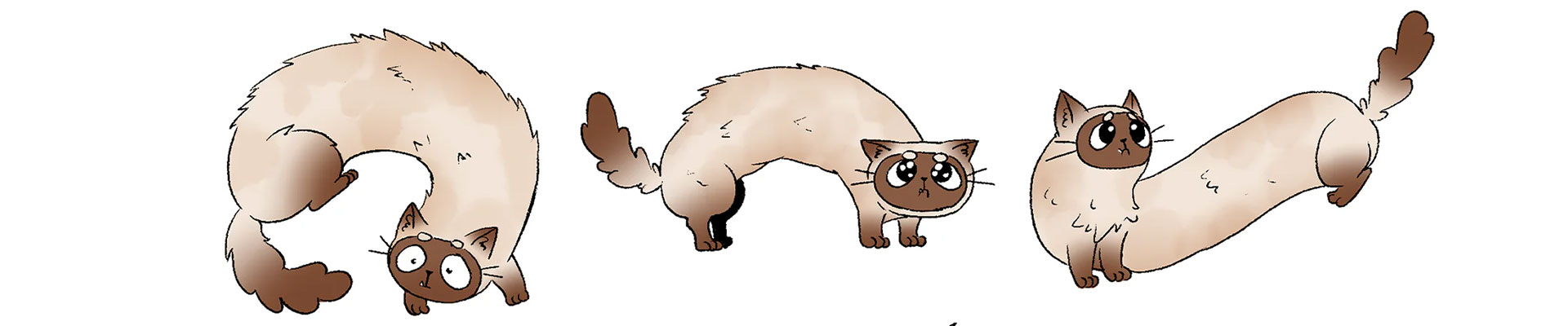 Charadesign d'un chat marron et beige