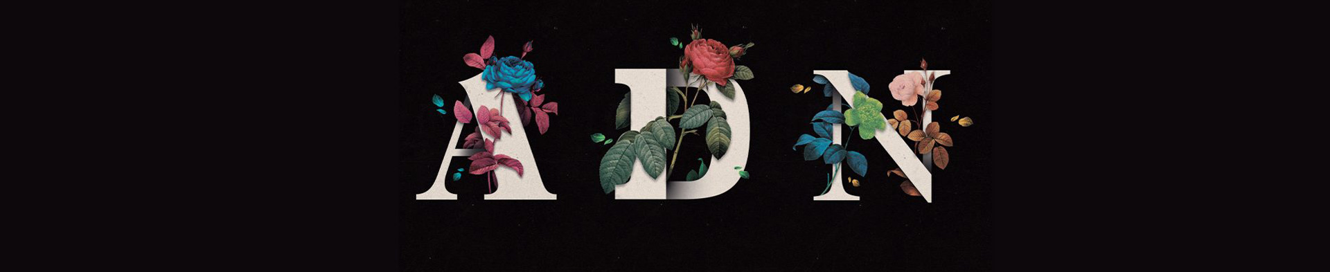 Lettre A D et N, typographie avec des fleurs