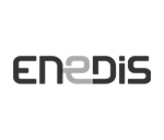 LOGO ENEDIS