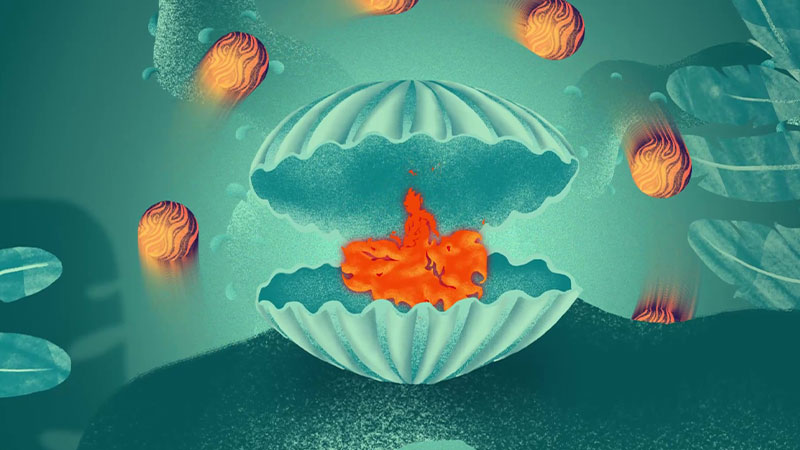 Illustration onirique d’une coquille ouverte révélant une scène lumineuse sur fond turquoise
