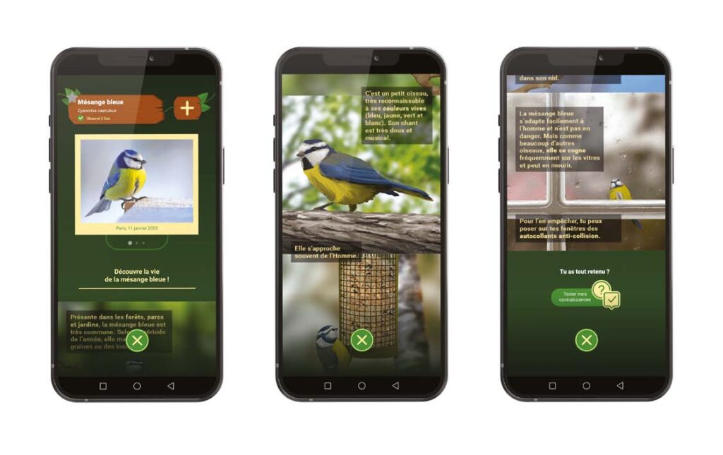 Écrans de smartphone présentant une interface de jeu