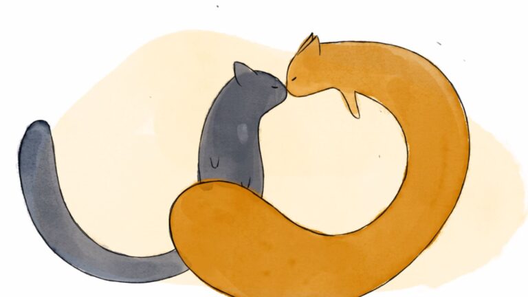 Illustration de deux chats avec leurs museaux