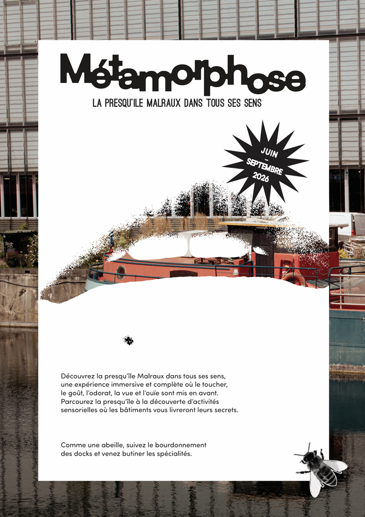 Projet de direction artistique “Métamorphose” imaginé par les étudiants d’e-artsup Strasbourg autour de l’architecture et des sensations urbaines de la Presqu’île André Malraux.