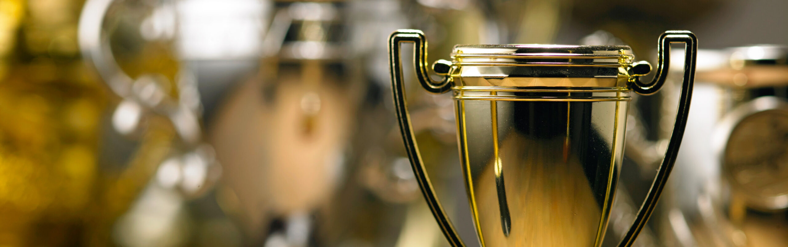 Gros plan sur un trophée