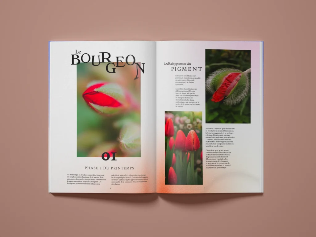 Diptyque - Direction artistique, Brand content & édition