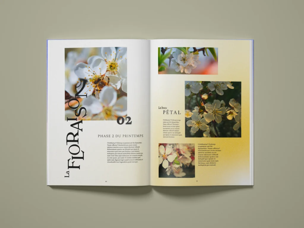Diptyque - Direction artistique, Brand content & édition